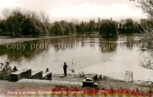 AK / Ansichtskarte Werne__Lippe_Muenster_Westfalen Schwanenteich im Stadtpark 