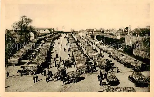 AK / Ansichtskarte St Pol de Leon_29_Finistere Le Marche aux Choux fleurs 