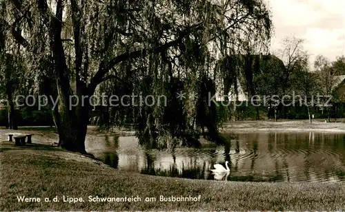AK / Ansichtskarte Werne__Lippe_Muenster_Westfalen Schwanenteich am Busbahnhof 