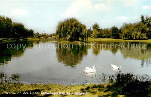 AK / Ansichtskarte Werne__Lippe_Muenster_Westfalen Schwanenteich am Stadtpark 