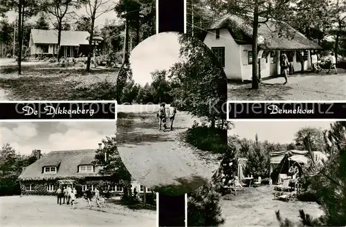 AK / Ansichtskarte Bennekom_NL Camping De Dikkenberg 