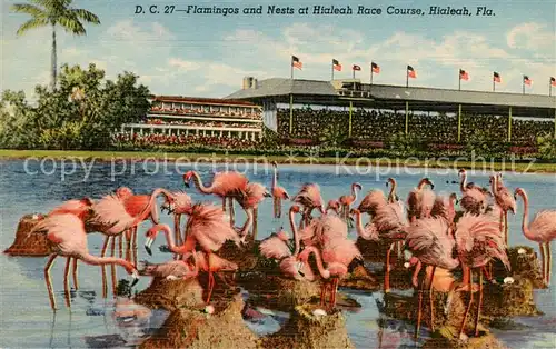 AK / Ansichtskarte 73832610 Hialeah_Florida_USA Flamingos and Nests at Hialeah Race Course 