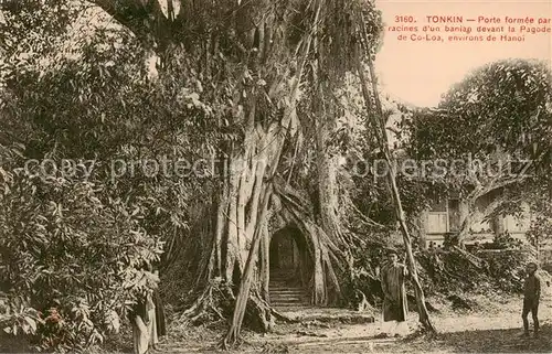 AK / Ansichtskarte 73832625 Tonkin_Vietnam Porte formee par racines dun baniap devant la Pagode de Co Los 