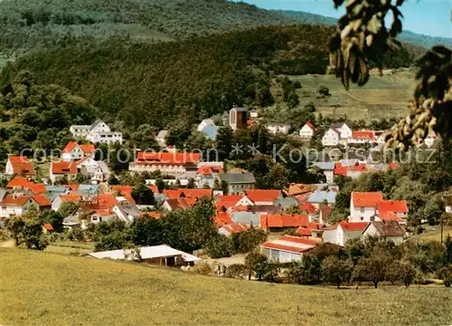 AK / Ansichtskarte Holzhausen_Huenstein Pension Cafe Kramer Holzhausen_Huenstein