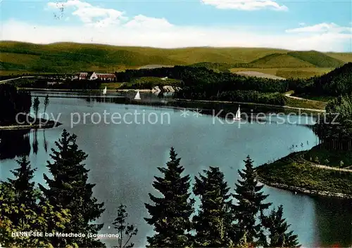 AK / Ansichtskarte Meschede Henne See Panorama Meschede