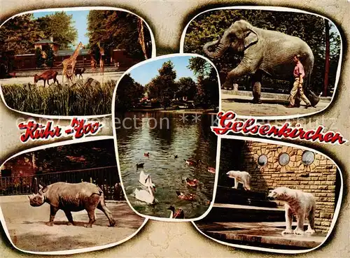 AK / Ansichtskarte Gelsenkirchen Ruhr Zoo Giraffen Elefant Nashorn Eisbaeren Gelsenkirchen
