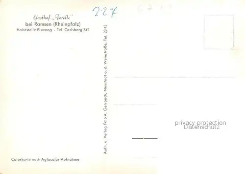 AK / Ansichtskarte Ramsen_Pfalz Gasthof Forelle Gondelteich Ramsen Pfalz