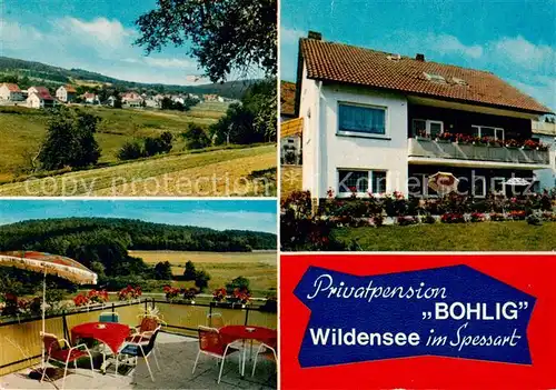 AK / Ansichtskarte Wildensee_Unterfranken Panorama Privatpension Bohlig Terrasse Wildensee Unterfranken