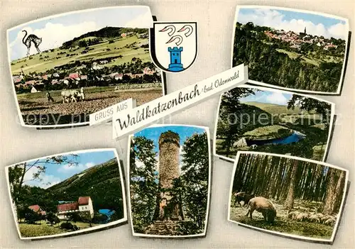 AK / Ansichtskarte Waldkatzenbach Panorama Kirche Turm Schwarzwild Waldkatzenbach