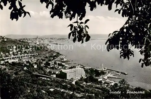 AK / Ansichtskarte Trieste_Triest_IT Panorama 