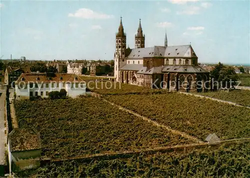 AK / Ansichtskarte Worms_Rhein Liebfrauenkirche im Wormser Liebfrauenstift Kirchenstueck Ursprungsweingaerten der Liebfraumilch Worms Rhein