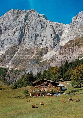 AK / Ansichtskarte Muehlbach_Hochkoenig_AT Fruehstueckspension Rieding  