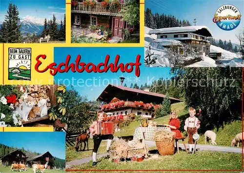 AK / Ansichtskarte Radstadt_AT Eschbachhof Biobauernhof Ferienwohnungen Almhuette Schnapsbrennerei Hausmusik Spielplatz Heuhupfstadel 