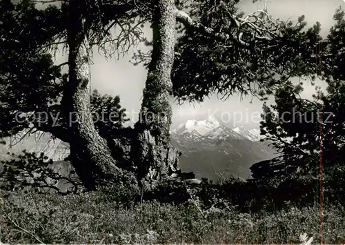 AK / Ansichtskarte Crans sur Sierre Paysage en Pepinet le Weisshorn Crans sur Sierre