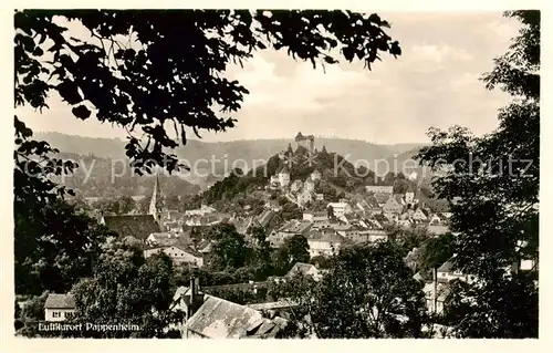 AK / Ansichtskarte  Pappenheim_Mittelfranken Panorama Pappenheim Mittelfranken