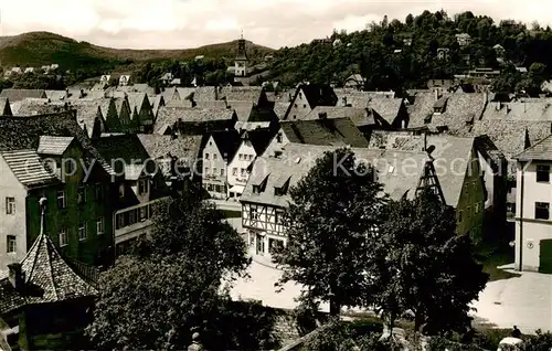 AK / Ansichtskarte  Hersbruck mit Hansgoergl und Michelsberg Hersbruck