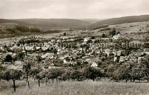 AK / Ansichtskarte  Bad_Koenig_Odenwald Panorama Bad_Koenig_Odenwald