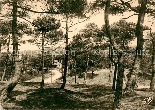 AK / Ansichtskarte La_Baule_sur_Mer_La Baule les Pins_44 Sous bois 