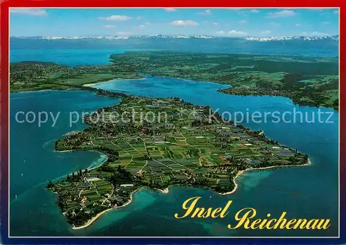 AK / Ansichtskarte Insel_Reichenau Panorama Bodensee Alpen Insel Reichenau