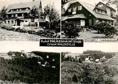 AK / Ansichtskarte  Falkenhain_Altenberg_Erzgebirge Haus Falkenhorst Erzgebirgsbaude Panorama Falkenhain_Altenberg