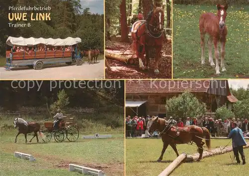 AK / Ansichtskarte  Neufra_Hohenzollern Pferdefuhrbetrieb Uwe Link Trainer B Planwagenfahren Holzruecken Fohlen Dressurfahren Neufra_Hohenzollern