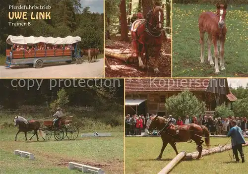 AK / Ansichtskarte  Neufra_Hohenzollern Pferdefuhrbetrieb Uwe Link Trainer B Planwagenfahren Holzruecken Fohlen Dressurfahren Neufra_Hohenzollern