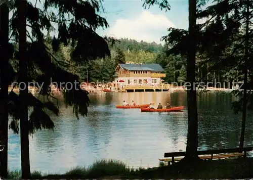 AK / Ansichtskarte Neubau_Fichtelberg Rasthaus am Fichtelsee Waldbad Neubau Fichtelberg