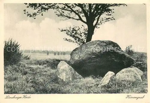 AK / Ansichtskarte  Huenengrab Lueneburger Heide 