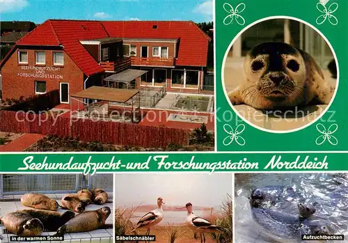 AK / Ansichtskarte 73836092 Norddeich__Norden_Nordseebad Seehundaufzucht- und Forschungsstation 