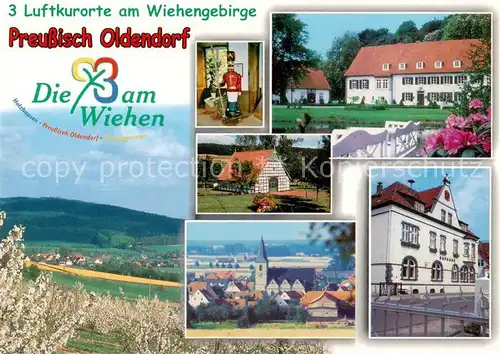 AK / Ansichtskarte  Preussisch-Oldendorf Panorama Luftkurorte am Wiehengebirge Rathaus Kirche Schloss 