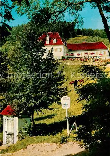 AK / Ansichtskarte Obernzell_Donau Sporthotel Fohlenhof Terrassencafe 