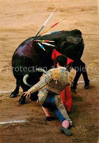 AK / Ansichtskarte Stierkampf_Corrida_de_Toros_Bullfight Corrida de Toros  