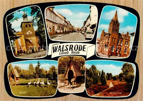 AK / Ansichtskarte Walsrode_Lueneburger_Heide Kirche Moorstrasse Rathaus Vogelpark Heidelandschaft Walsrode_Lueneburger_Heide