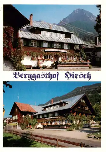 AK / Ansichtskarte  Reichenbach_Oberstdorf Berggasthof Hirsch Reichenbach_Oberstdorf