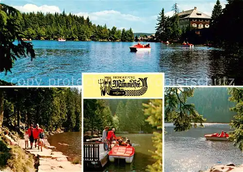 AK / Ansichtskarte  Mummelsee Berghotel Mummelsee Uferweg Bootssteg Mummelsee