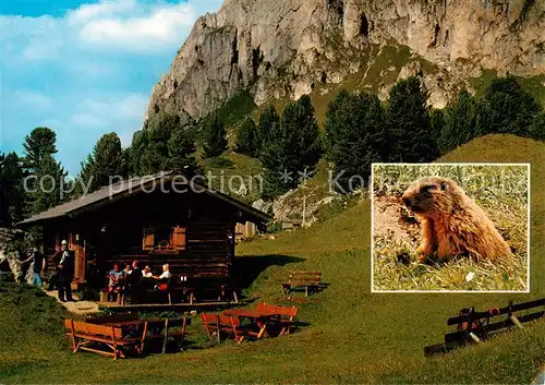 AK / Ansichtskarte Seiseralm_Alpe_di_Siusi_Trentino_IT Murmeltierhuette am Plattkofel Murmeltier 
