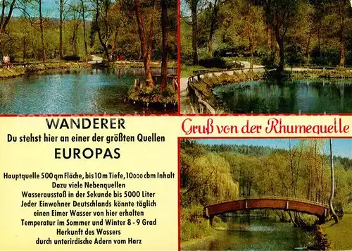 AK / Ansichtskarte Rhumspringe Rhumequelle Details Rhumspringe