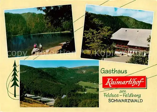 AK / Ansichtskarte Feldberg_1450m_Schwarzwald Feldseepartie Gasthaus Raimartihof Panorama 