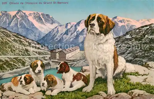 AK / Ansichtskarte  Verlag_GJG_Nr. 205 Grand St Bernard Hunde 