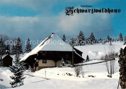 AK / Ansichtskarte  Blasiwald Gaststaette Schwarzwaldhaus Winterlandschaft Blasiwald