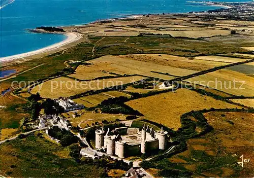 AK / Ansichtskarte  Rhuys_Presqu_Ile_de_56_Morbihan Château de Suscinio vue aérienne 