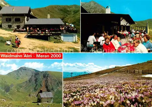 AK / Ansichtskarte  Meran_Merano_IT Waidmann Alm Panorama Wandergebiet Blumenwiese 