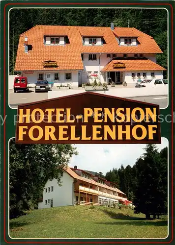 AK / Ansichtskarte  Oberprechtal Hotel Pension Forellenhof Oberprechtal