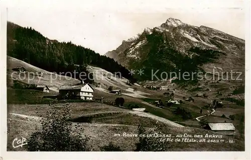 AK / Ansichtskarte  La_Clusaz_74 Au Col des Aravis Le Pic de l'Etale 