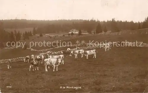 AK / Ansichtskarte Landwirtschaft Schweiz A la Montagne 