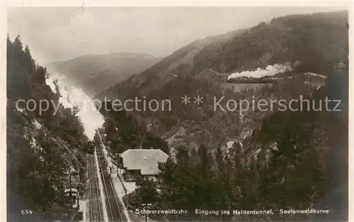 AK / Ansichtskarte Eisenbahn Schwarzwaldbahn Eingang ins Haldentunnel Seelenwaldkurve Eisenbahn