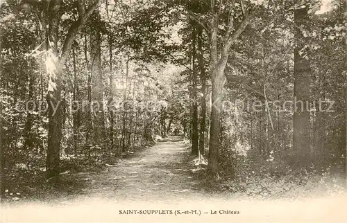 AK / Ansichtskarte Saint Soupplets_77_Seine et Marne Le Chateau 