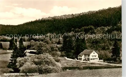 AK / Ansichtskarte Blankenheim_Ahr Forellenhof Zaunegger Blankenheim_Ahr