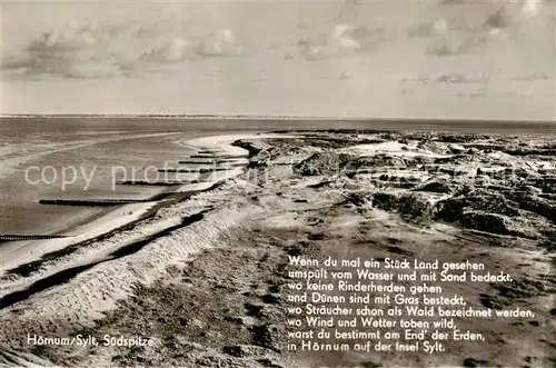 AK / Ansichtskarte 73838958 Hoernum_Sylt Suedspitze Panorama Hoernum Sylt