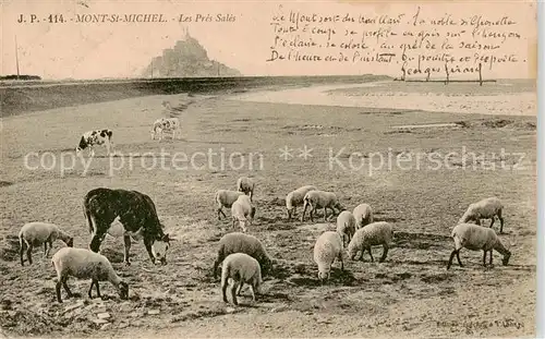 AK / Ansichtskarte  Mont-Saint-Michel Les Pres Sales Mont-Saint-Michel